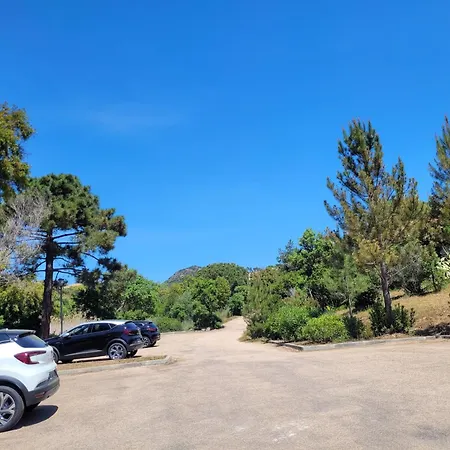 Appartement Cala Sultana N°83 T3 Rez De Jardin 4/6 Pers - 50m Santa Giulia *